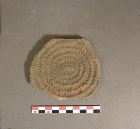 vase, image 1/1