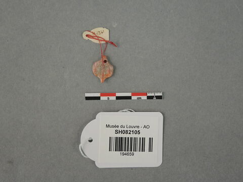 perle, image 3/3