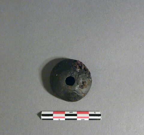fusaïole, image 1/1