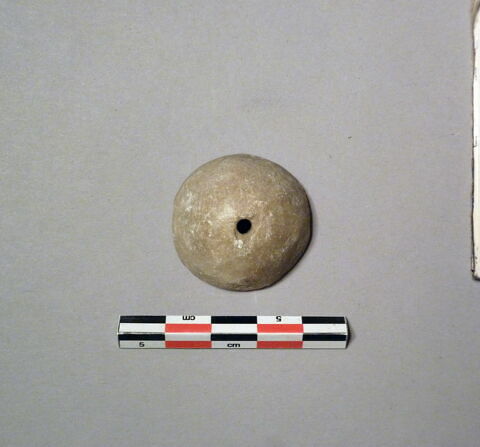fusaïole, image 1/1