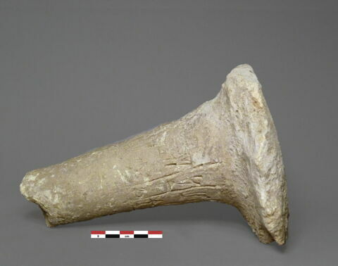 clou de fondation ; document écrit ; objet votif, image 1/1