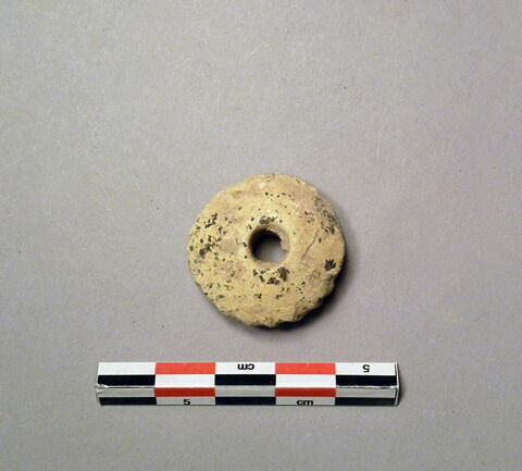 fusaïole, image 1/1