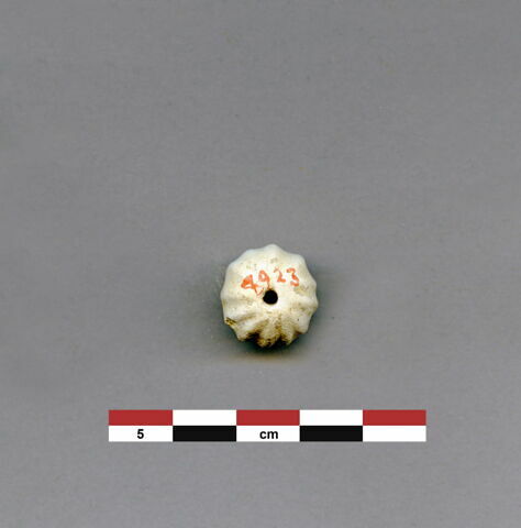 perle, image 1/1