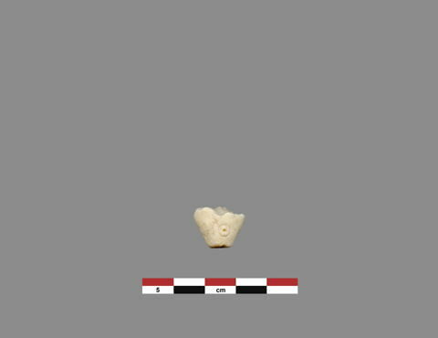 perle, image 1/1