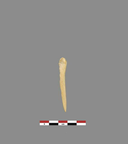 outil, image 1/1