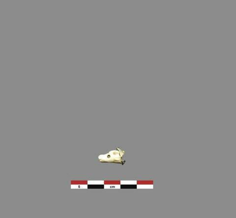 figurine  ; amulette, image 1/1