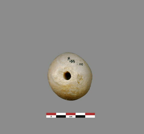 fusaïole, image 1/1
