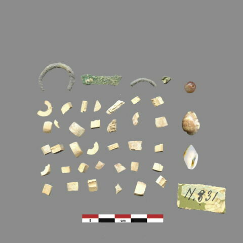 perle ; anneau ; coquillage, image 1/1