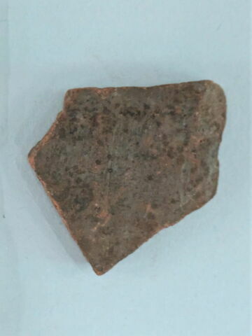 ostracon, image 1/1