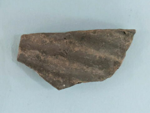 ostracon, image 1/1