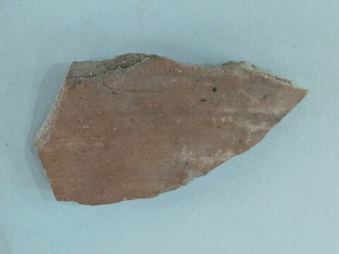ostracon, image 1/1
