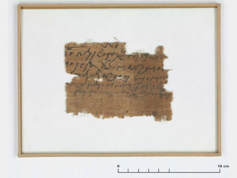 papyrus, image 2/2