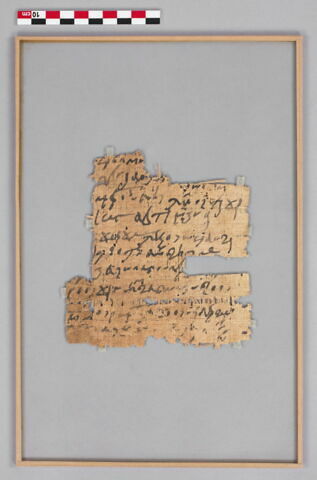 papyrus documentaire, image 3/4