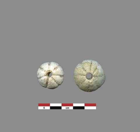 fusaïole, image 1/1