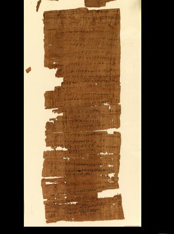papyrus, image 3/7