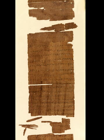 papyrus, image 5/7