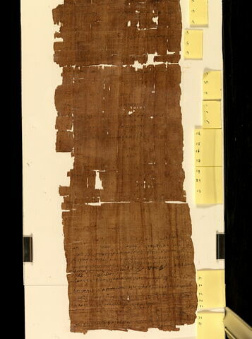 papyrus, image 2/10