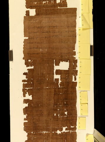 papyrus, image 5/10