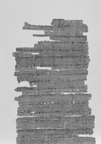 papyrus, image 6/10