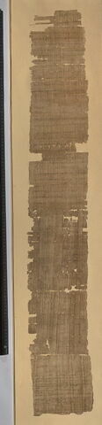 papyrus, image 1/10