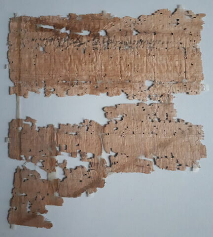 papyrus documentaire, image 2/2