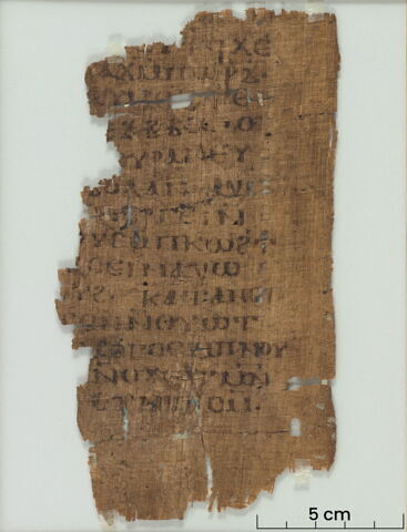 papyrus littéraire ; fragment, image 2/6