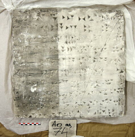 moulage, image 2/4