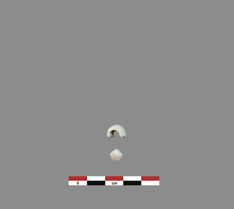 perle, image 1/1