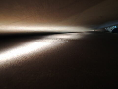 Portrait d'un architecte devant la colonne Trajane, image 5/7