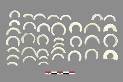 coquillage ; anneau, image 1/1