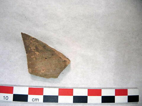 ostracon, image 1/1