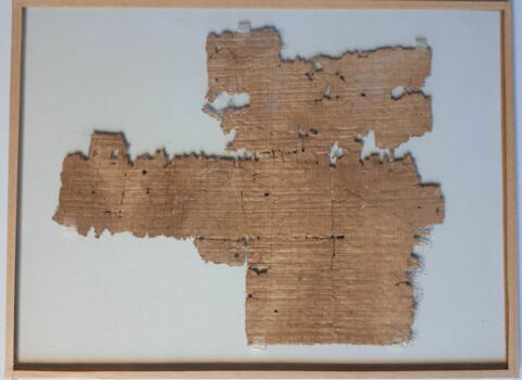 papyrus, image 2/3