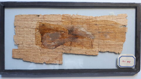 papyrus, image 2/2