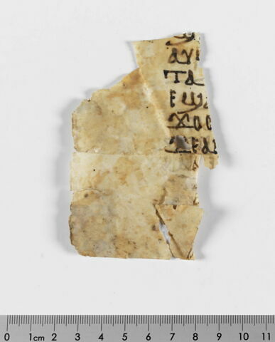 feuillet de codex ; fragment