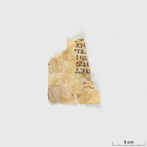 feuillet de codex ; fragment, image 2/6