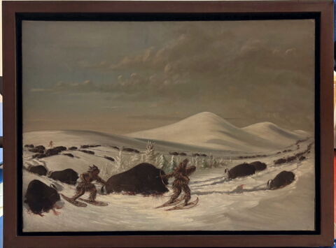 Chasse au buffle dans la neige