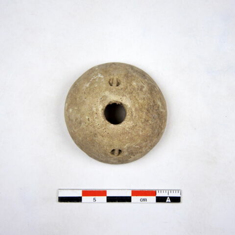 fusaïole, image 1/1