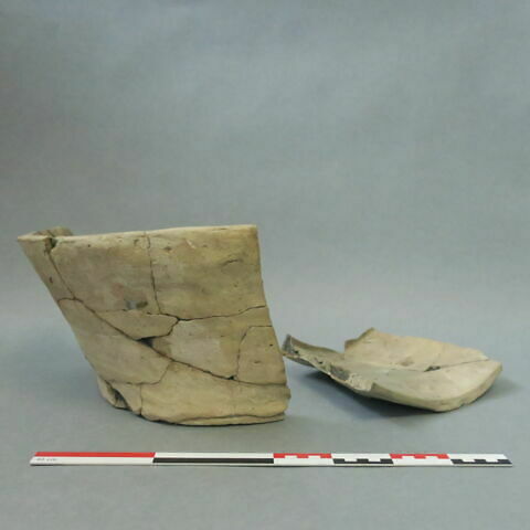 cuvier, image 3/10
