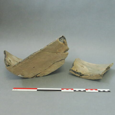 cuvier, image 6/10