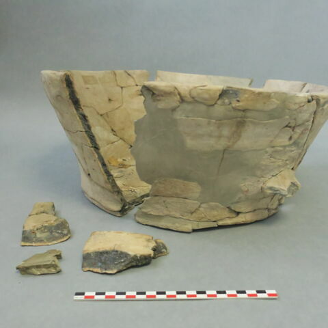 cuvier, image 8/10