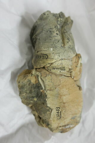 sculpture, fragment, image 7/9