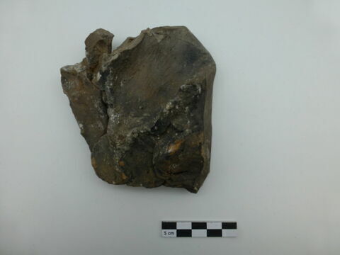 sculpture, fragment, image 2/4