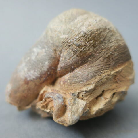 sculpture, fragment, image 8/8