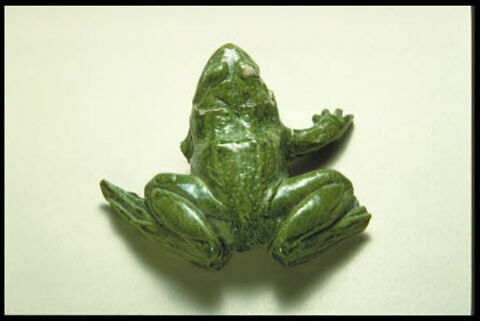 Grenouille de fontaine, image 11/11