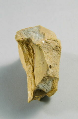 Fragment d'architecture avec traces de trophée d'armes, image 5/6