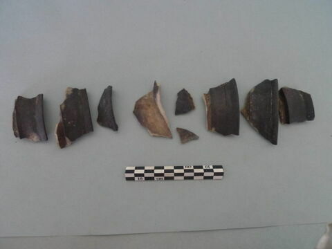 col, fragment, image 2/3