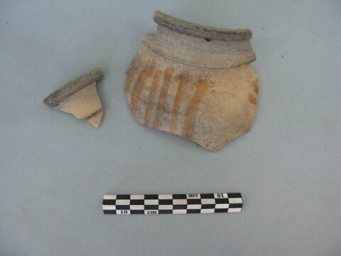 col, fragment, image 3/3