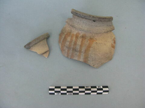 col, fragment, image 2/3
