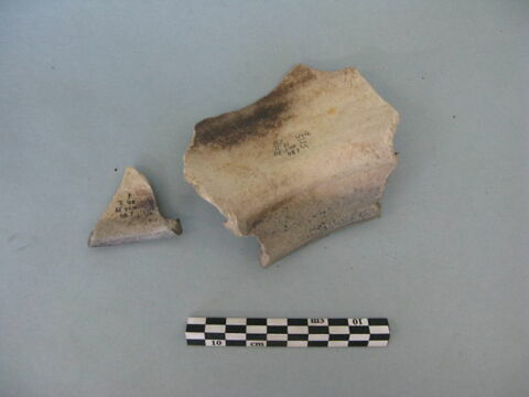 col, fragment, image 1/3