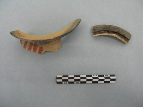 col, fragment, image 3/3